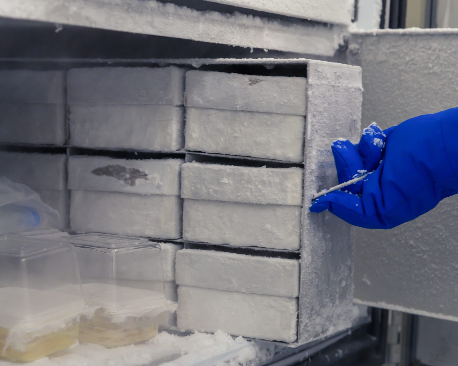 Gloved hand checking chilled product temperatures in a commercial cell